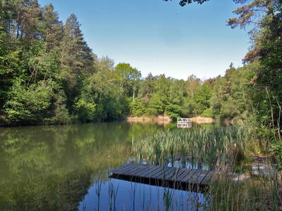 Waldsee vom Ehrlingshof