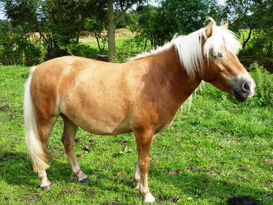 Bild 16 aus  Hof Grüneberg