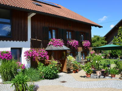 Bild 2 aus  Dilger`s Landhof