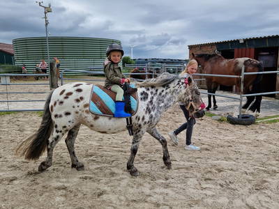Bild 58 aus  Küstenhof Oldewurtel