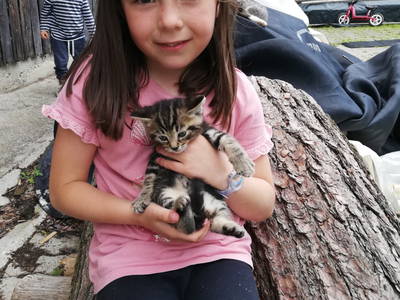 Bild 5 aus  Meisterbauer-Hof