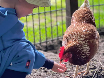 Bild 9 aus  Ferienhof Wübbold