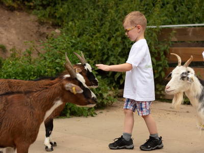 Bild 17 aus  Hof in Liebesdorf