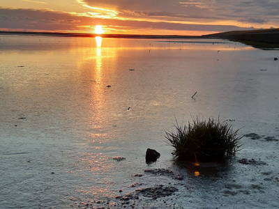 Bild 28 aus  Ferienhof Hasseler