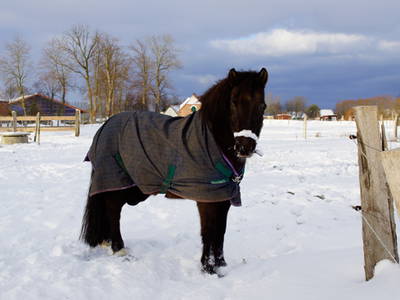 Bild 23 aus  LandSelection Gut Gaarz