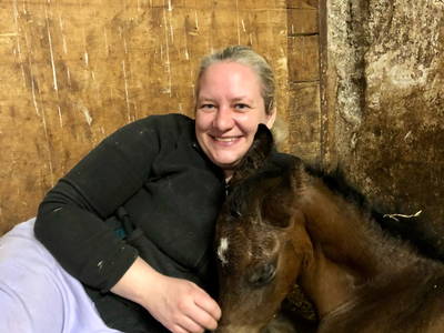 Bild 14 aus  Reiterhof Obere Mühle