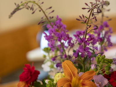 Bild 14 aus  Kesslsimerhof