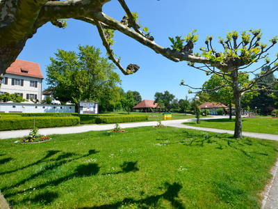 Bild 4 aus  Ferienhof Mecking