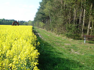 Bild 17 aus  Ferienhof Stegen