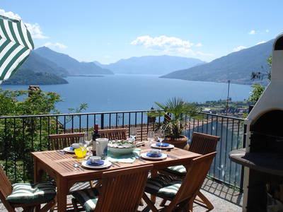 Bild 12 aus  Casarina