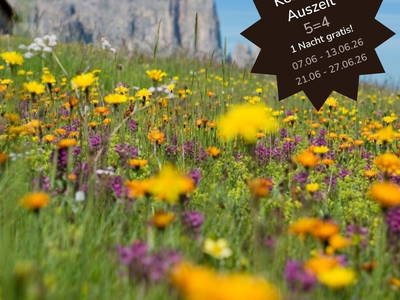 Bild 17 aus  Kessler’s Mountain Lodge