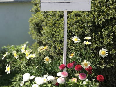 Bild 4 aus  Nübbelhof