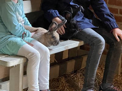 Bild 60 aus  Ferienhof Lüders-Köneke, Marianne Lüders-Köneke