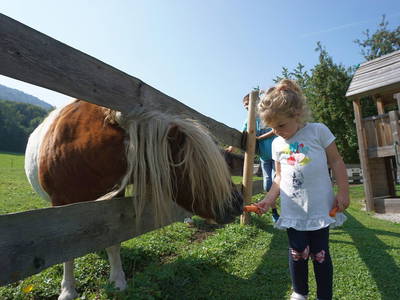 Bild 37 aus  Wastelbauerhof in Bernau am Chiemsee