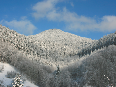 Bild 8 aus  Bierpeterhof
