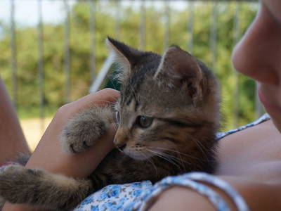 Bild 29 aus  Der Ofenmacherhof  Urlaub am Bauernhof