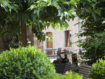 Bild 5 aus  Weingut & Gästehaus GiwerGreif