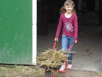 Bild 16 aus  Baustrup Hof