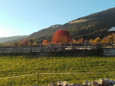 Bild 8 aus  Unterschöpferhof