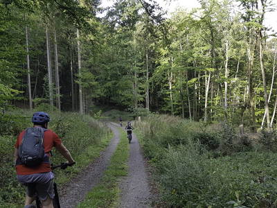 Bild 23 aus  Ferienhof Zinn