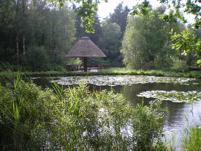 Bild 31 aus  Hof  Schmörholm Urlaubs- und Früchtehof