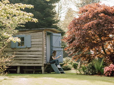Wohnzimmer im Grünen