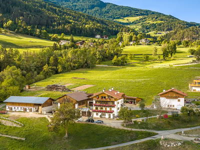 Bild 3 aus  Stillehof, Ferienwohnungen auf dem Bauernhof
