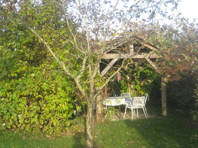 Bild 5 aus  Keller's Hof Heiligenberg