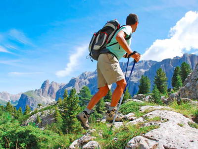 Bild 23 aus  Wiesenhäusl