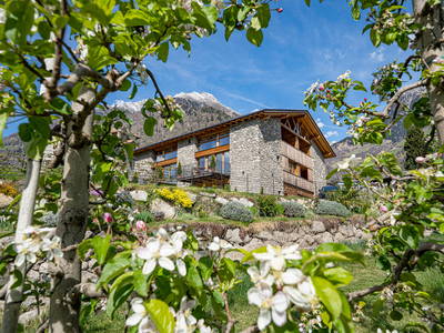 Bild 42 aus  Pröfinghof