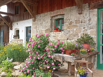 Bild 4 aus  Ferienhof Irlmühl