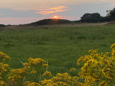 Bild 38 aus  Ferienhof Messer  Bauernhofurlaub  Ostseenähe  Ponys