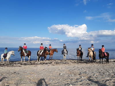 Bild 53 aus  Ferienhof Rauert