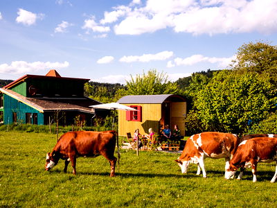 Haus Rotmilan und Schäferwagen