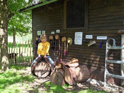 Bild 20 aus  Hubertushof Steidle