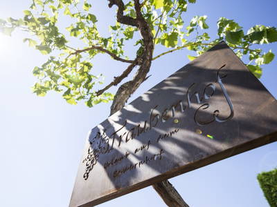 Bild 3 aus  Traubenhof    Pures Leben-Echt und natürlich