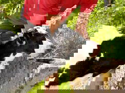 Bild 7 aus  Kirnermartes Hof