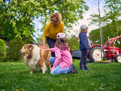 Bild 14 aus  Ferienhof Heidemann