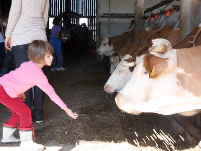 Bild 22 aus  Stefanutti Hof