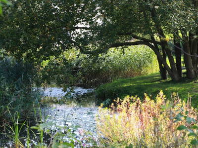 Der Teich in unserem Garten
