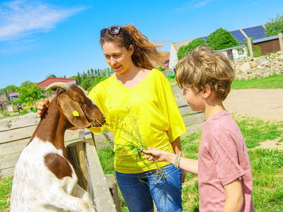 Bild 8 aus  Bauer Lange