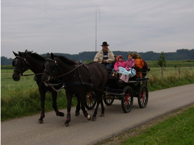 Bild 7 aus  Ferienhof Allgäumoos