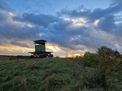 Bild 12 aus  Landhaus Jakob