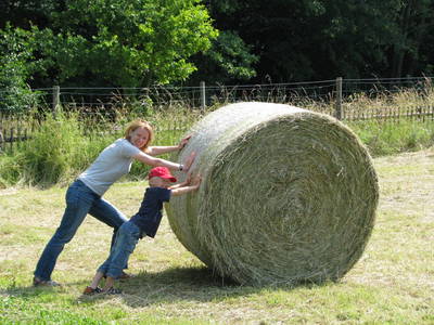 Bild 59 aus  LandSelection Grieshof