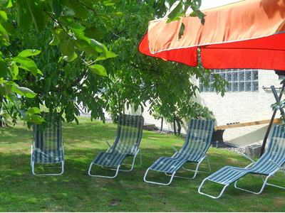 Bild 11 aus  Weingut Winnebeck inmitten der Weinberge