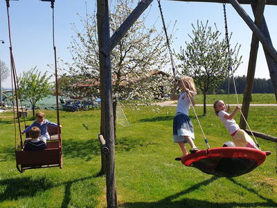 Bild 10 aus  Mojer Hof