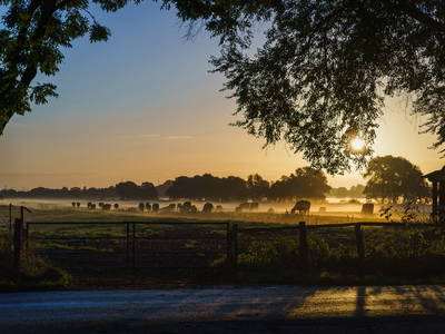 Bild 17 aus  ELBMARSCHEN BAUERNHOF Olde
