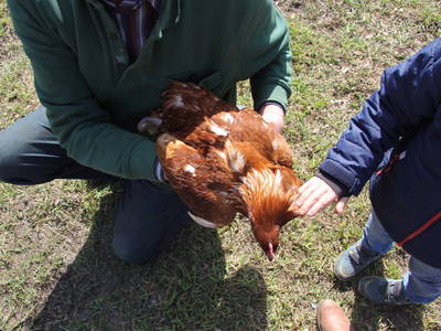 Bild 8 aus  Hof Suhrkamp