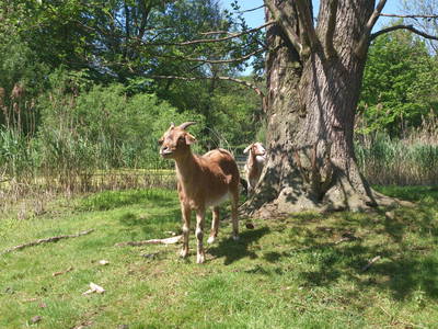 Bild 13 aus  FerienGut Dalwitz     www.feriengutdalwitz.de