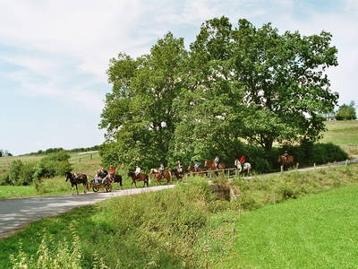 Bild 2 aus  kinderfreundlicher Familienbauerhof